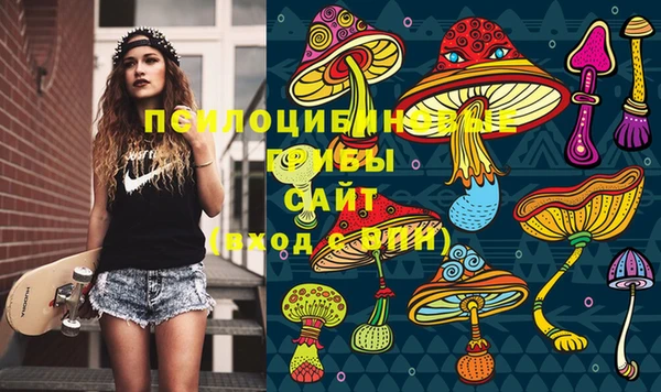 гашик Алзамай