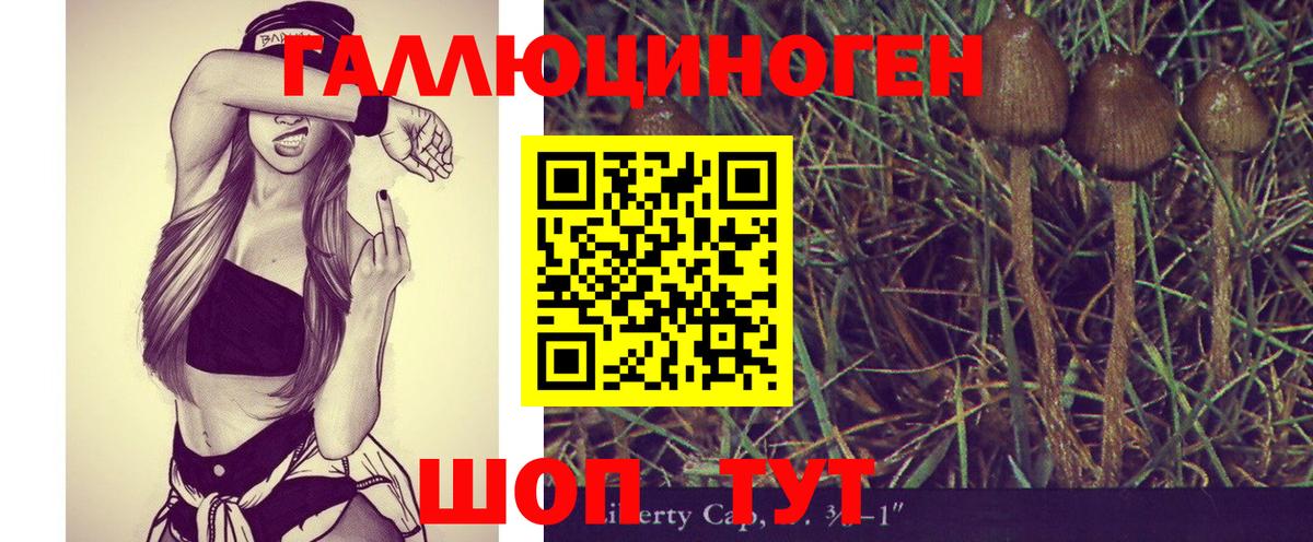 Псилоцибиновые грибы GOLDEN TEACHER  как найти закладки  Аргун  Вход с VPN 