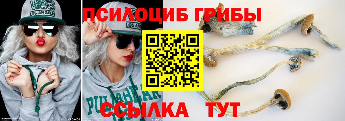 Псилоцибиновые грибы Magic Shrooms Аргун