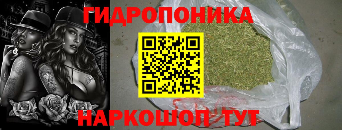 МАРИХУАНА планчик  Вход с VPN  Аргун  МАРИХУАНА White Widow 